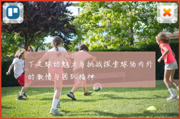 下足球的魅力与挑战探索球场内外的激情与团队精神